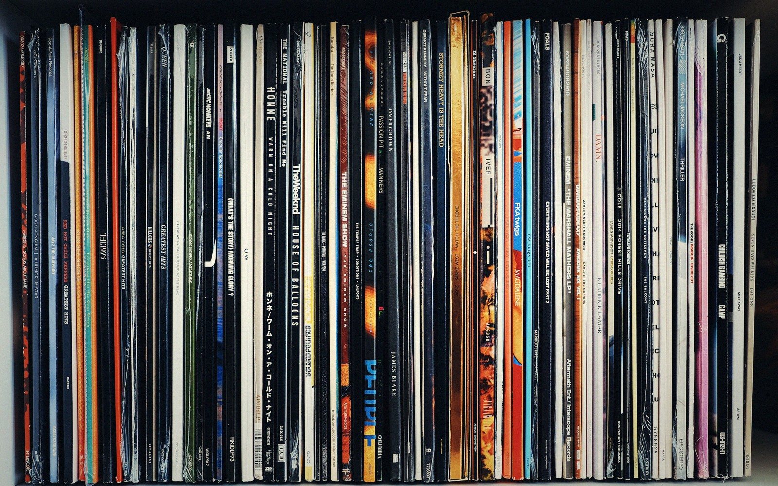 Rows of vinyl record albums lined up spine-out on a shelf