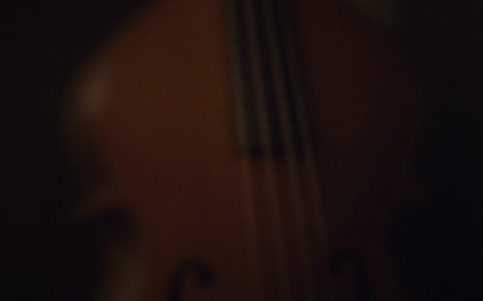 Close-up of a double bass body showing strings and f-hole in dim light